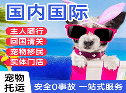 湿地航空快运国际宠物托运 【国